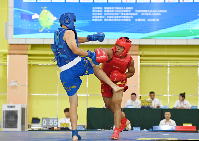 自治区十四运武术散打比赛圆满落幕